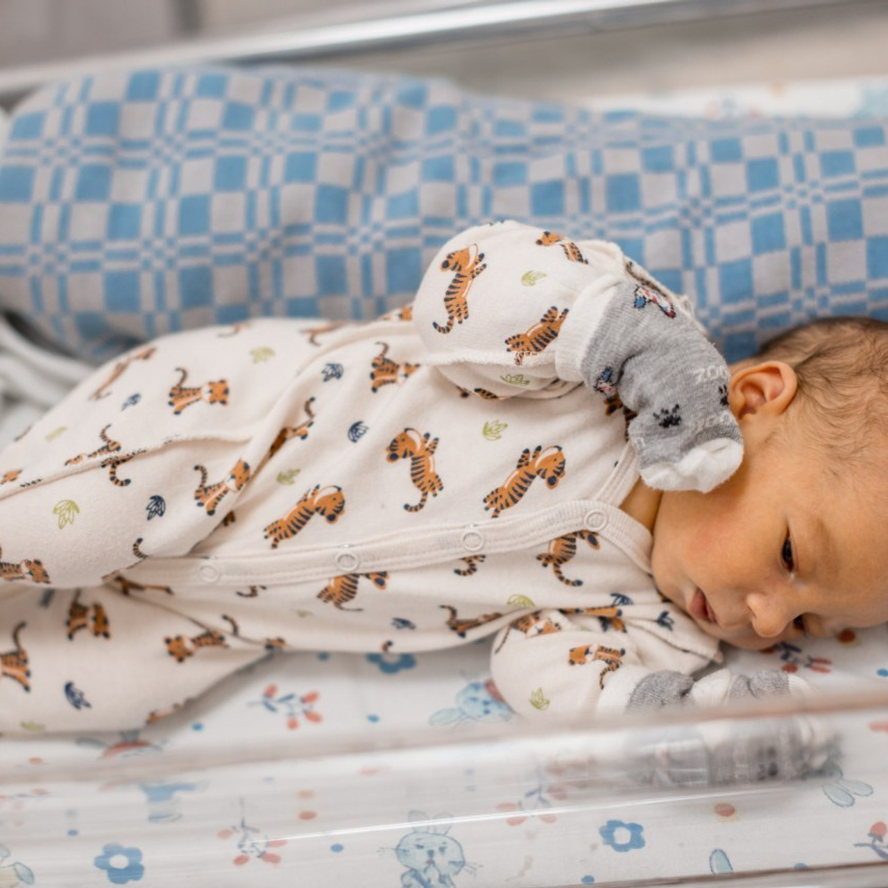 Отзывы. Детская фото и видео съёмка