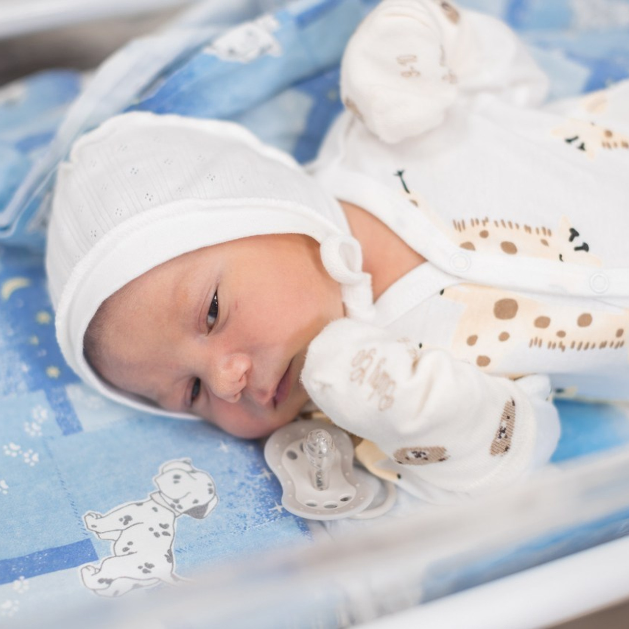 Отзывы. Детская фото и видео съёмка