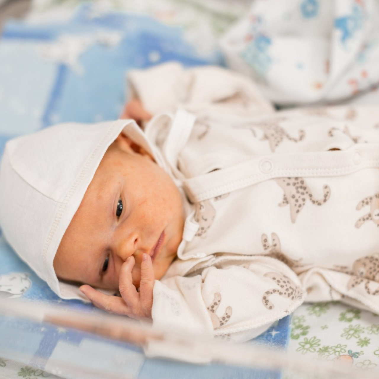 Отзывы. Детская фото и видео съёмка