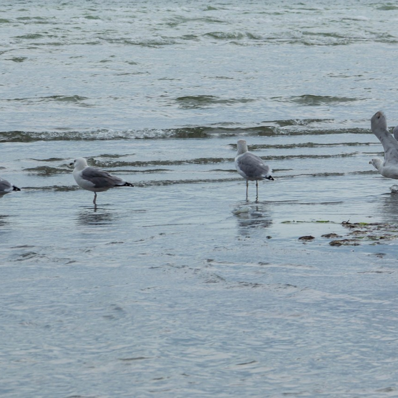 Отзывы. Аник фотограф Симферополь, Крым