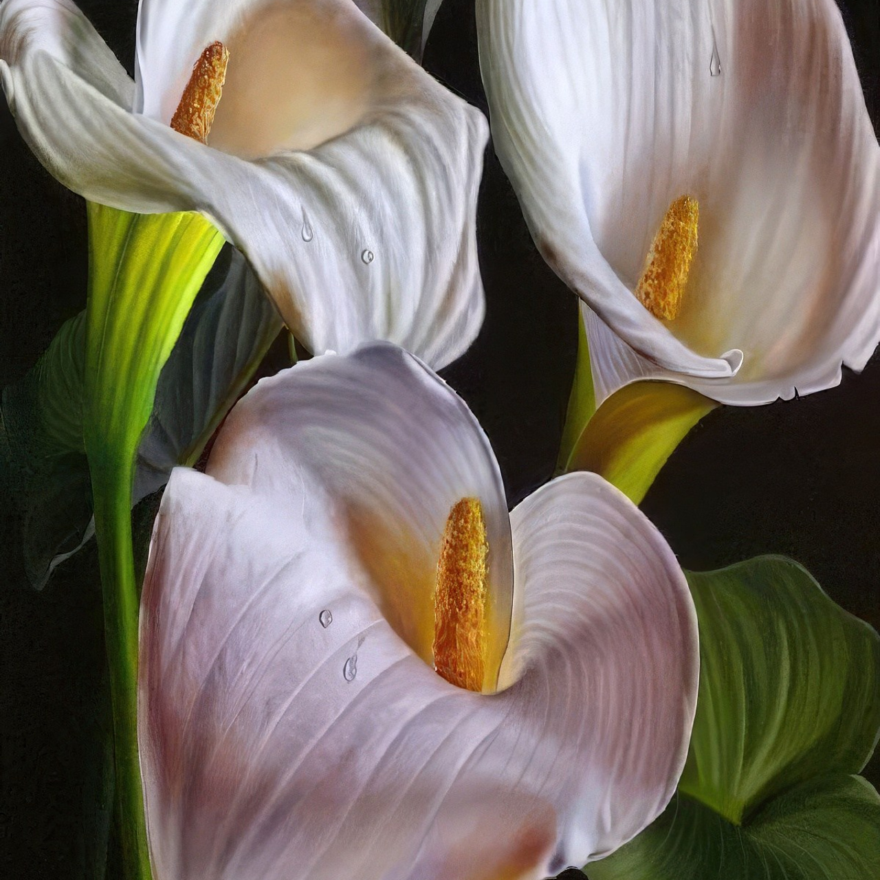 Цветы. Алмазная мозаика CVL