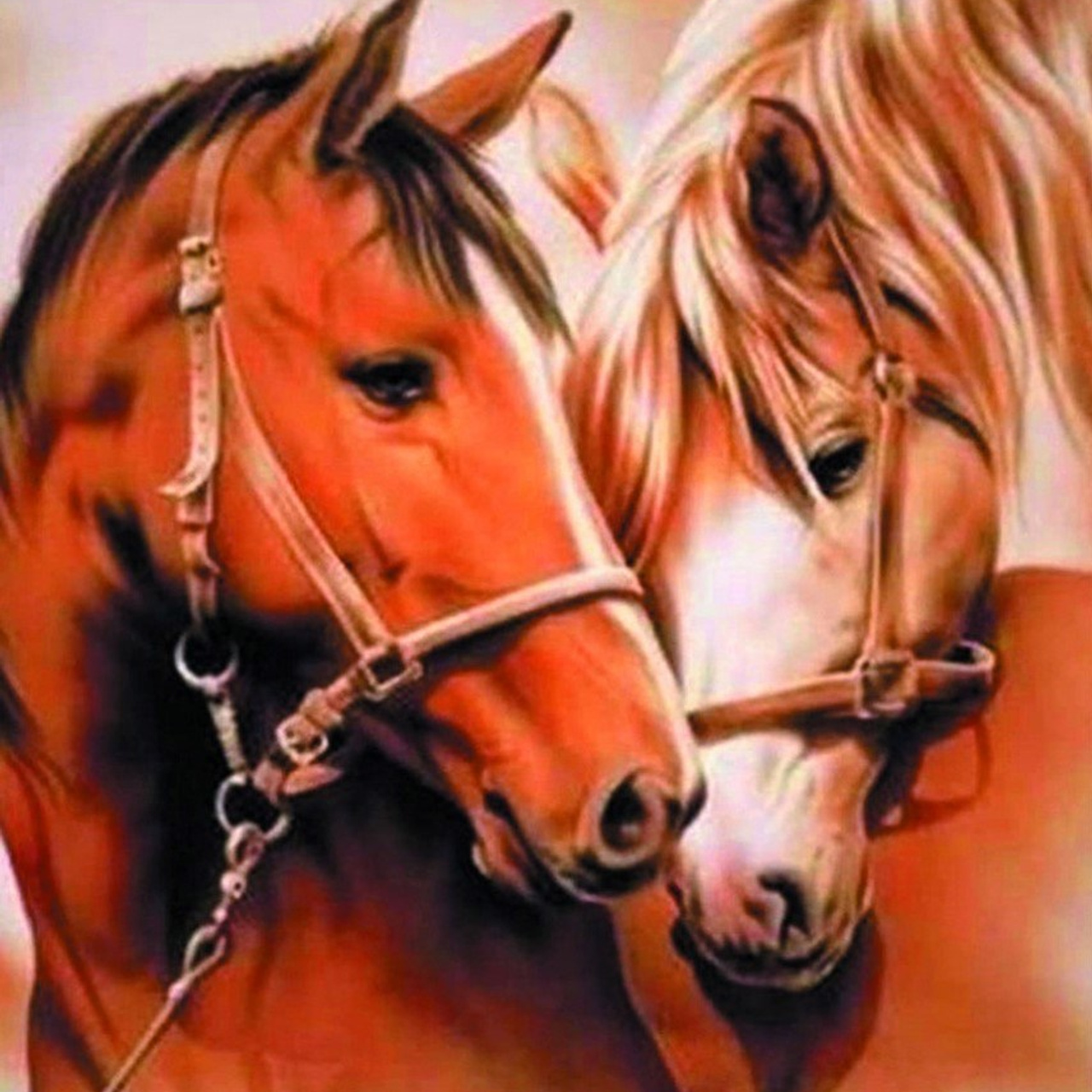 Животные и птицы. Алмазная мозаика CVL