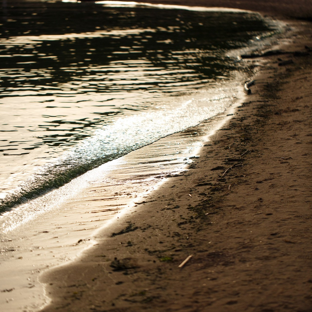 Отзывы о фотографе Ксения Чебиряк