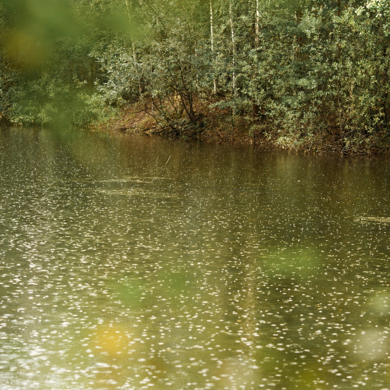 Отзывы. Семейный и детский фотограф в Ярославле