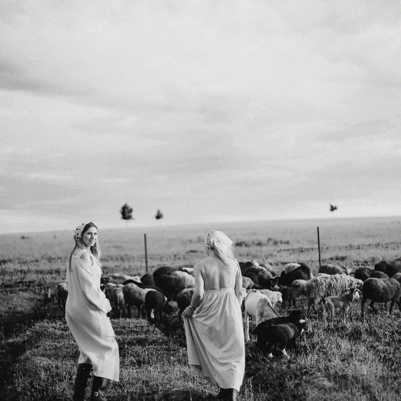 Отзывы. Семейный и свадебный фотограф Алёна Морозова Коломна