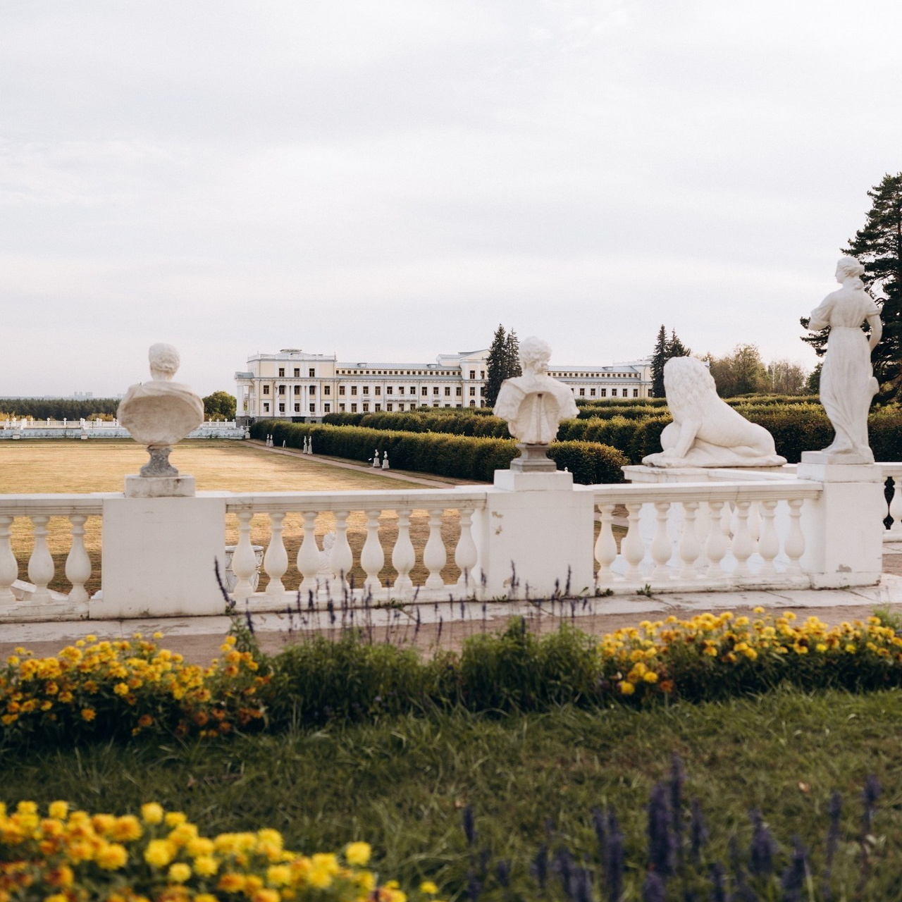 Отзывы. Семейный фотограф в Москве Алина Сергеева