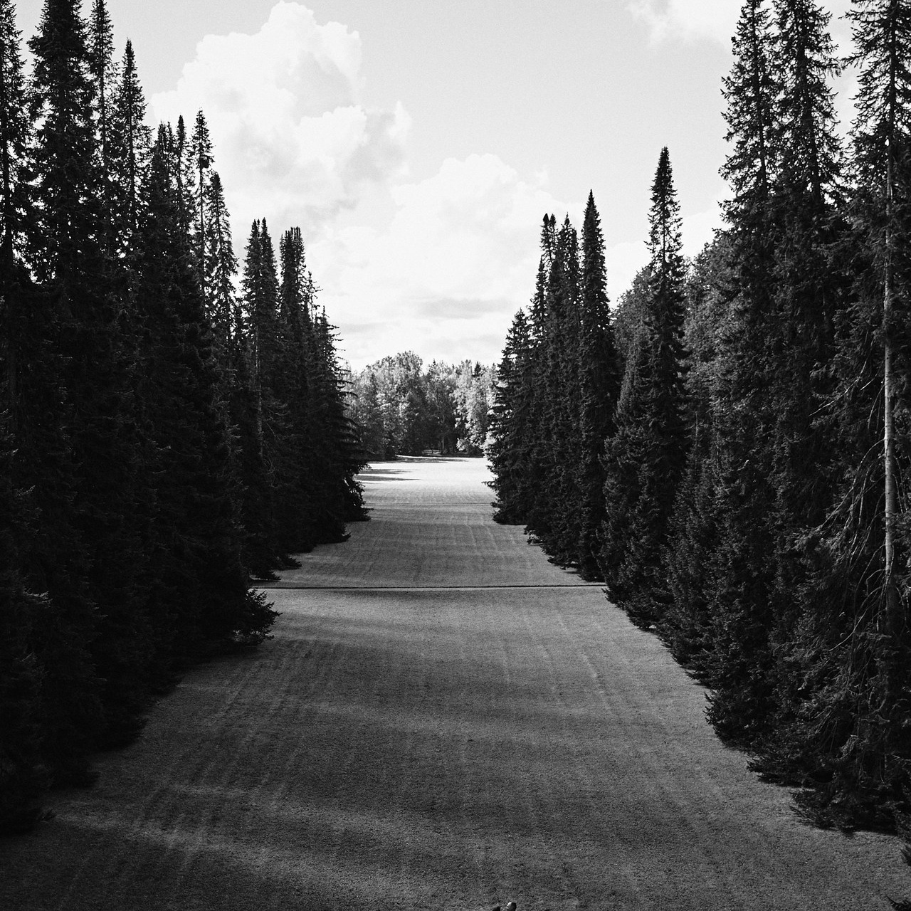 Отзывы. Фотограф в Санкт-Петербурге | Аня Маленчук