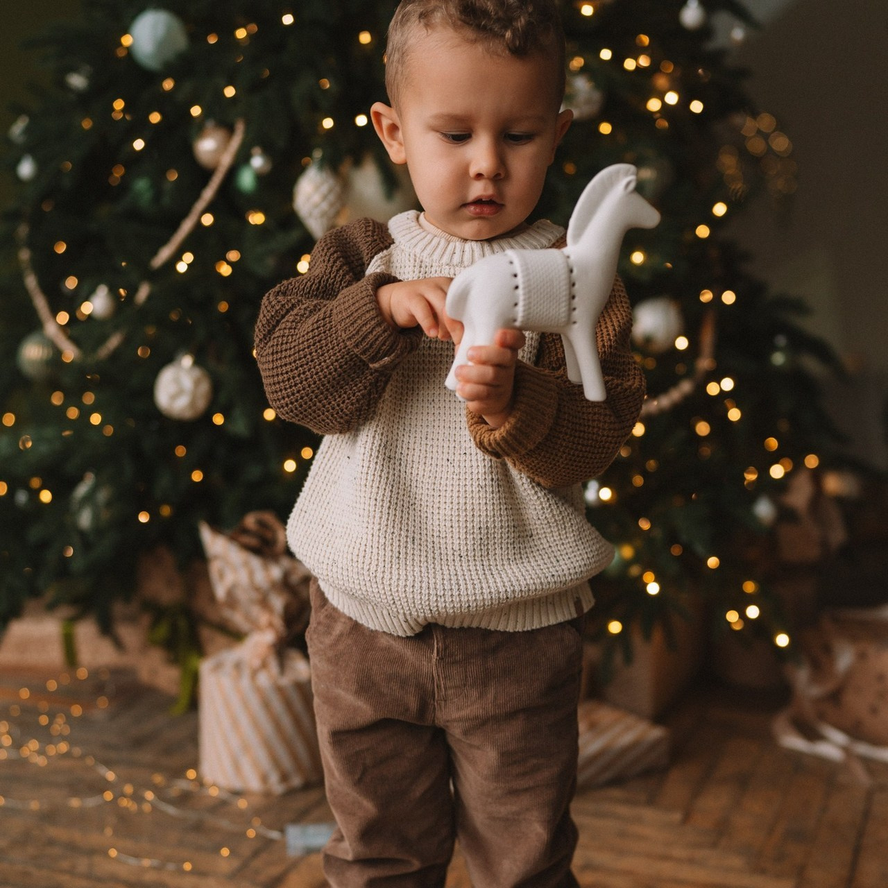 Отзывы. Семейный фотограф Валерия Фабричникова, Москва