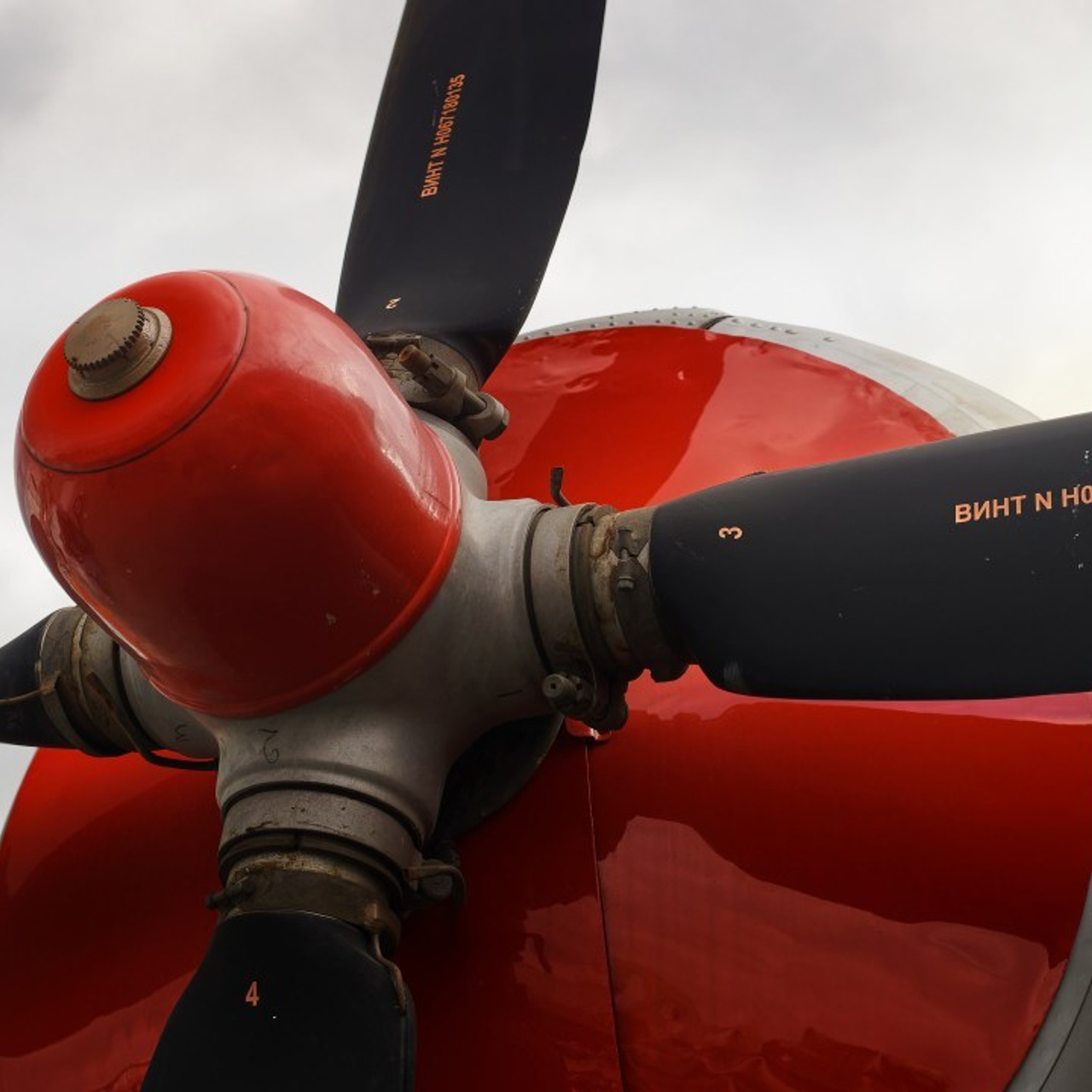 Отзывы. IN STREET WE TRUST