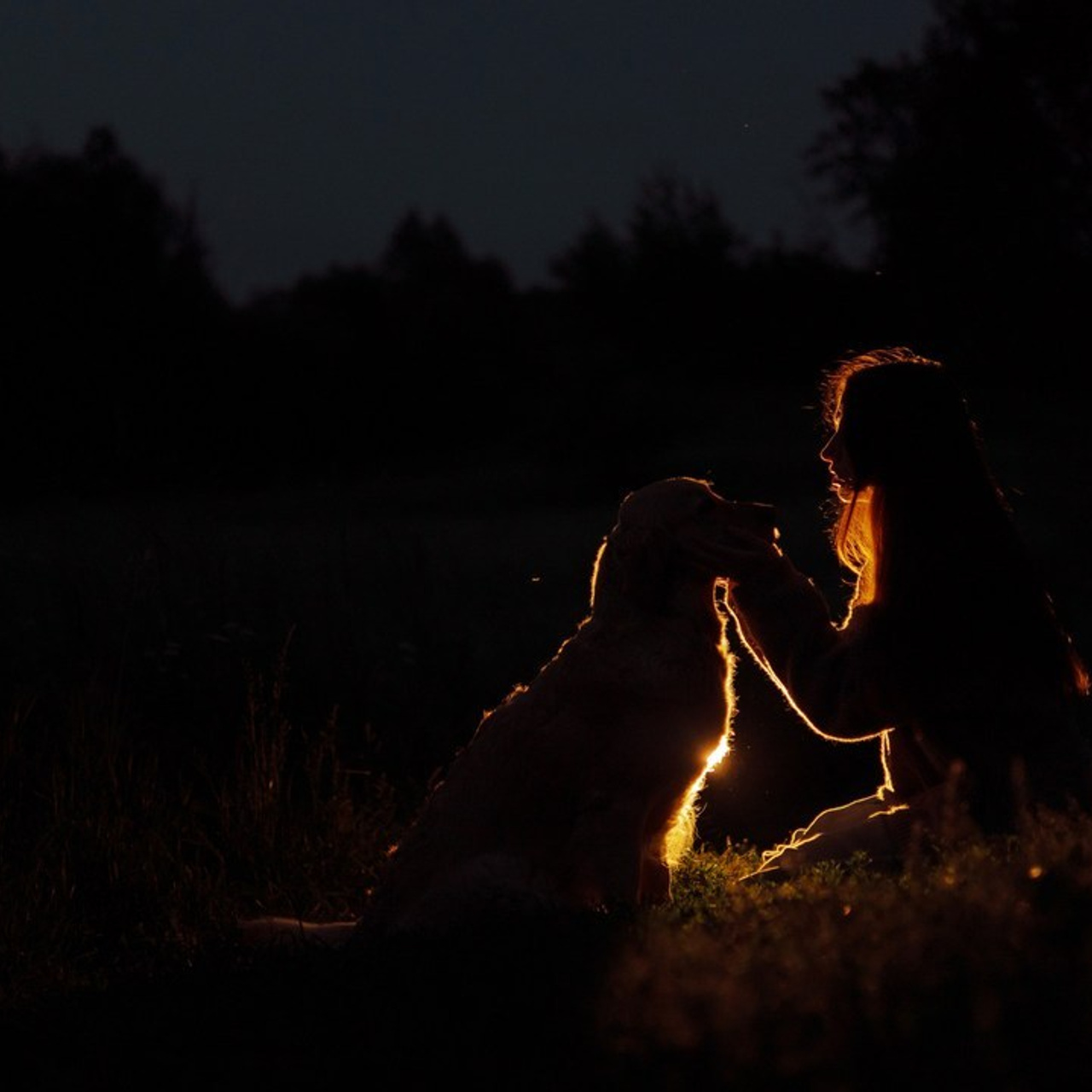 Отзывы. Фотограф-анималист Богданова Полина