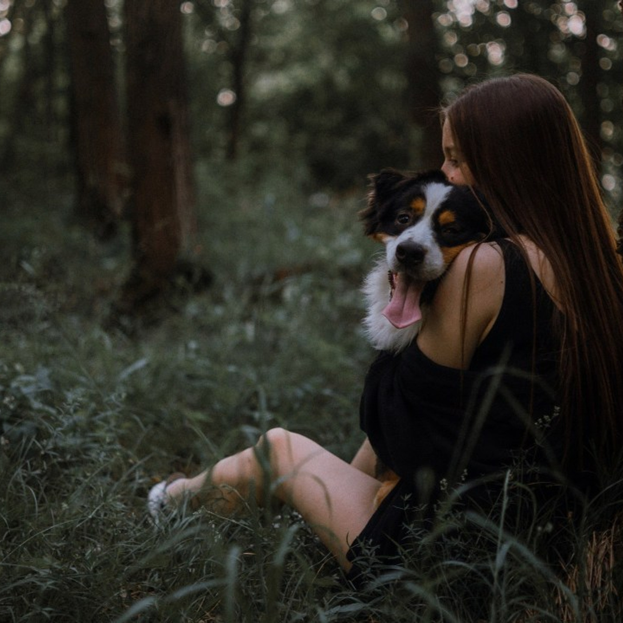 Отзывы. Фотограф-анималист Богданова Полина