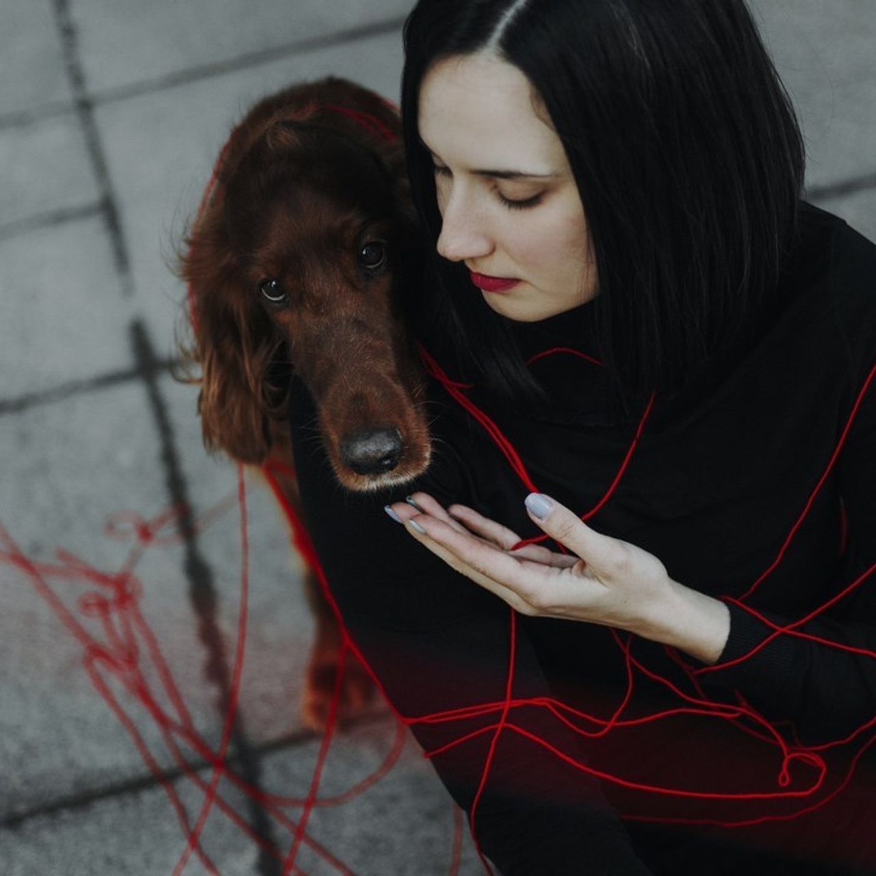 Отзывы. Фотограф-анималист Богданова Полина