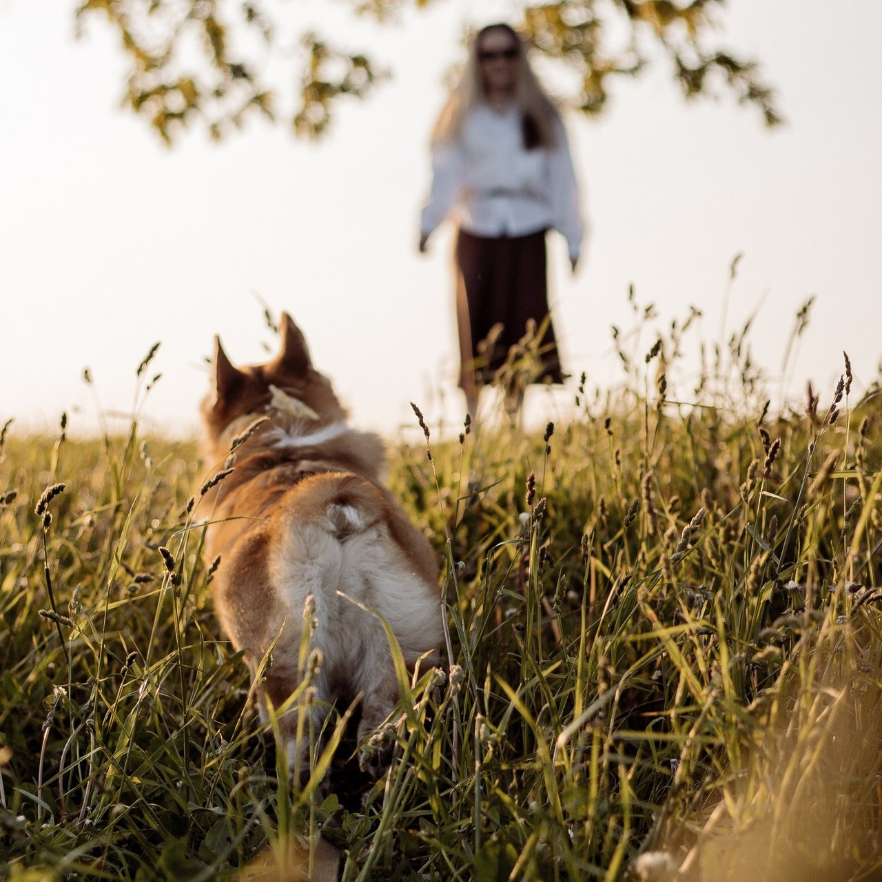 Отзывы. Фотограф-анималист в Санкт-Петербурге