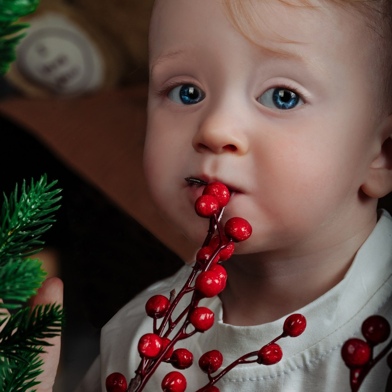 Отзывы. Мариуполь фото. Фотограф Мариуполь.Индивидуальные съёмки. Детские, семейные, коммерческие