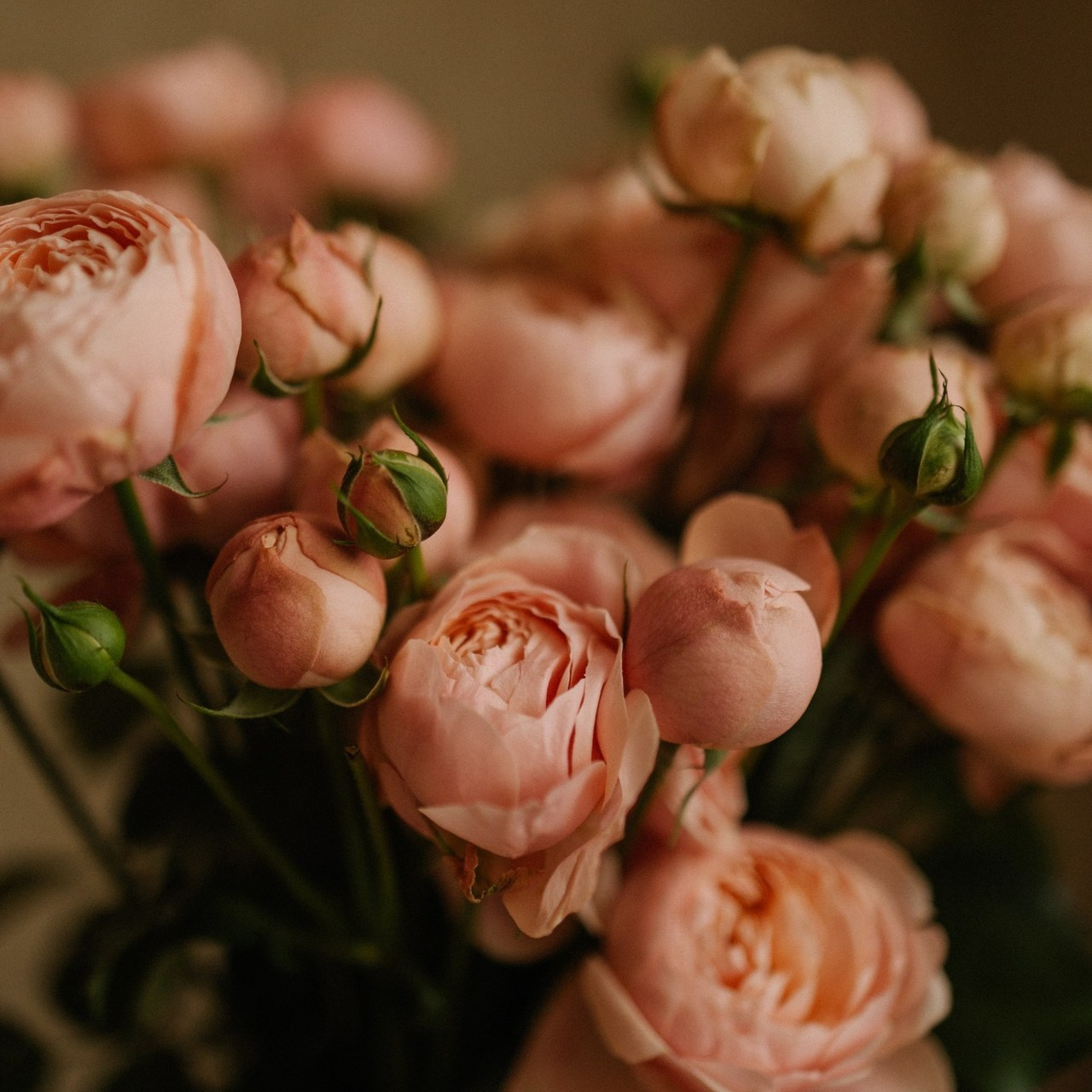 Отзывы. Семейный фотограф Москва Валерия Белова