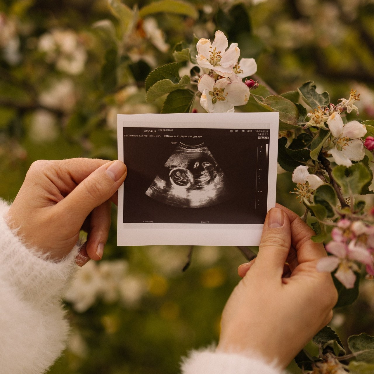 Отзывы. Семейный фотограф Москва Валерия Белова
