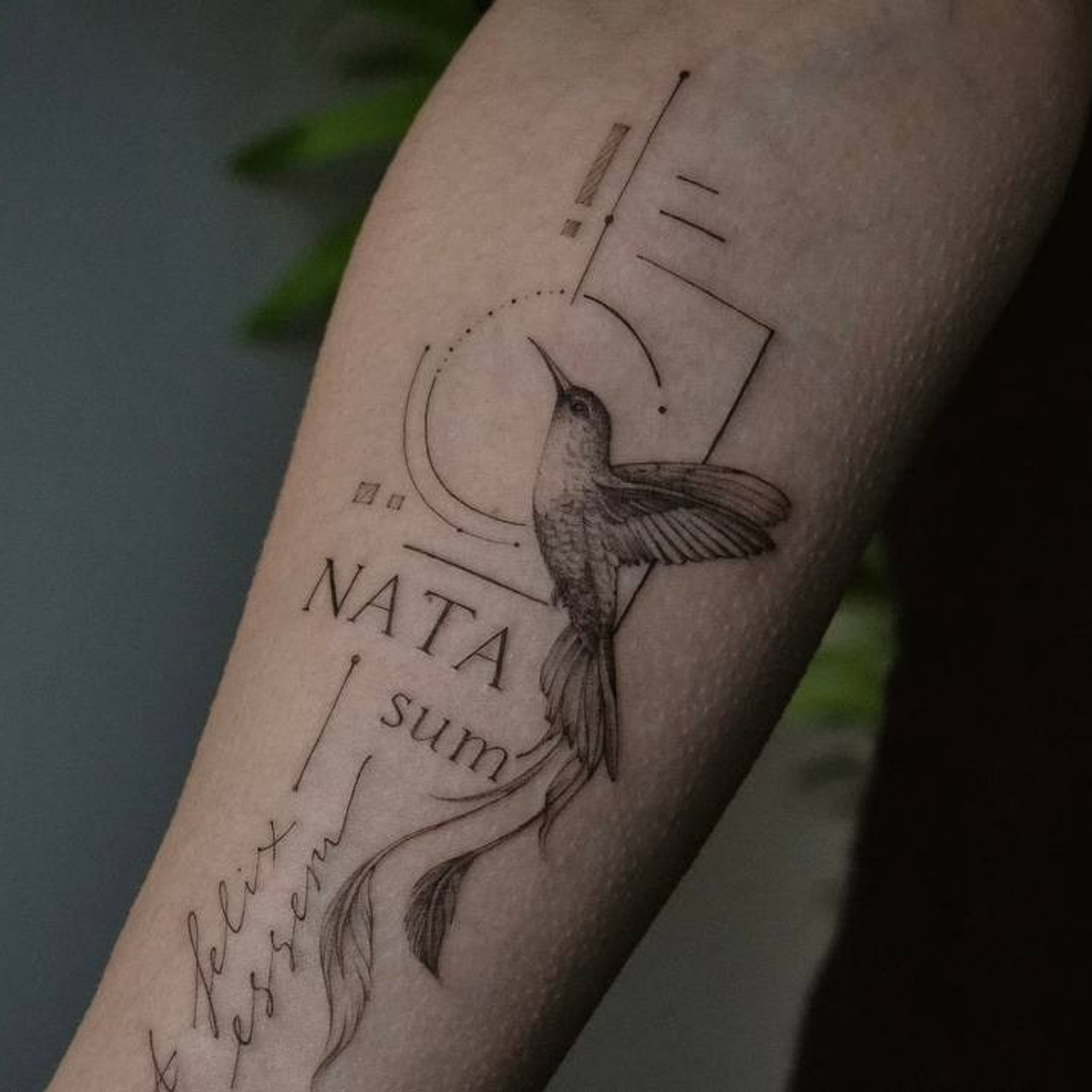 Мария Жиркова. Обучение тату Хабаровск. Диплом гос.образца. татуировки Хабаровск