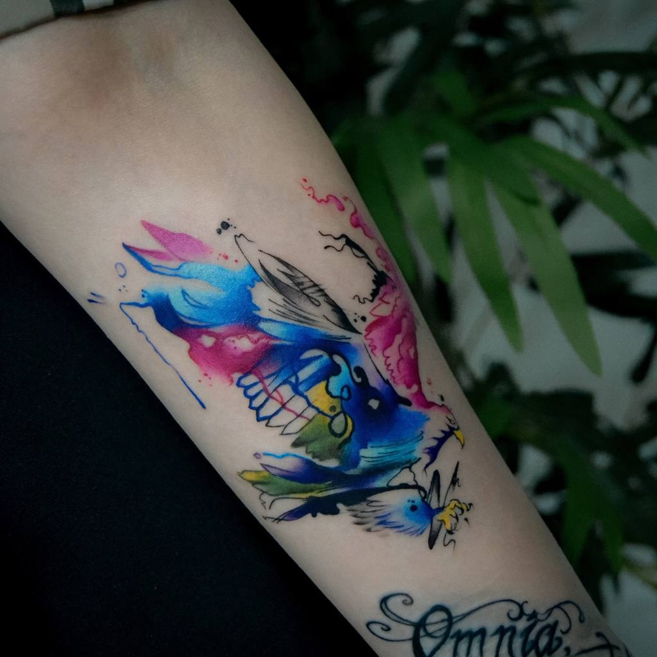 Екатерина Долгих. Обучение тату Хабаровск. Диплом гос.образца. татуировки Хабаровск