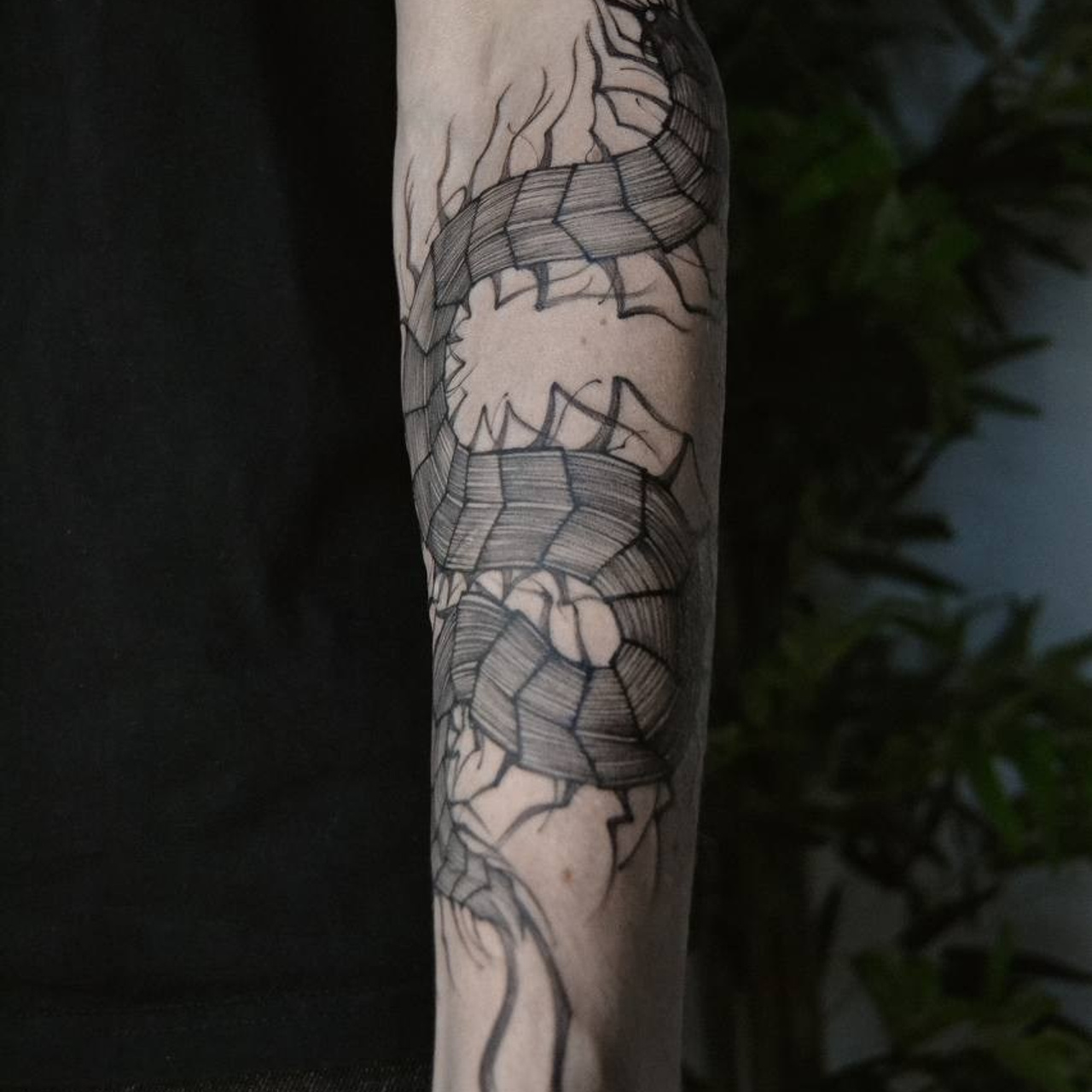 Мария Жиркова. Обучение тату Хабаровск. Диплом гос.образца. татуировки Хабаровск