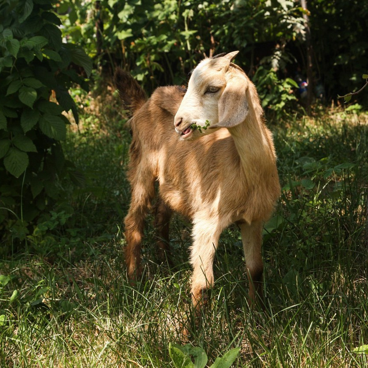 Отзывы. Фотограф в Сургуте Ксения Лепина