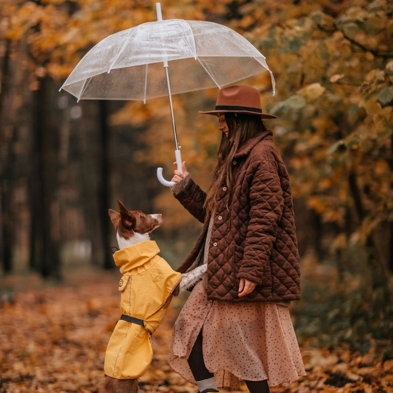 Отзывы. Семейный фотограф анималист Мария Крючкова