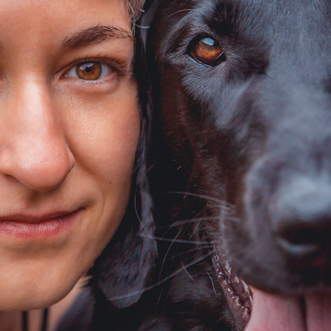 Юля, Пуля и Зара