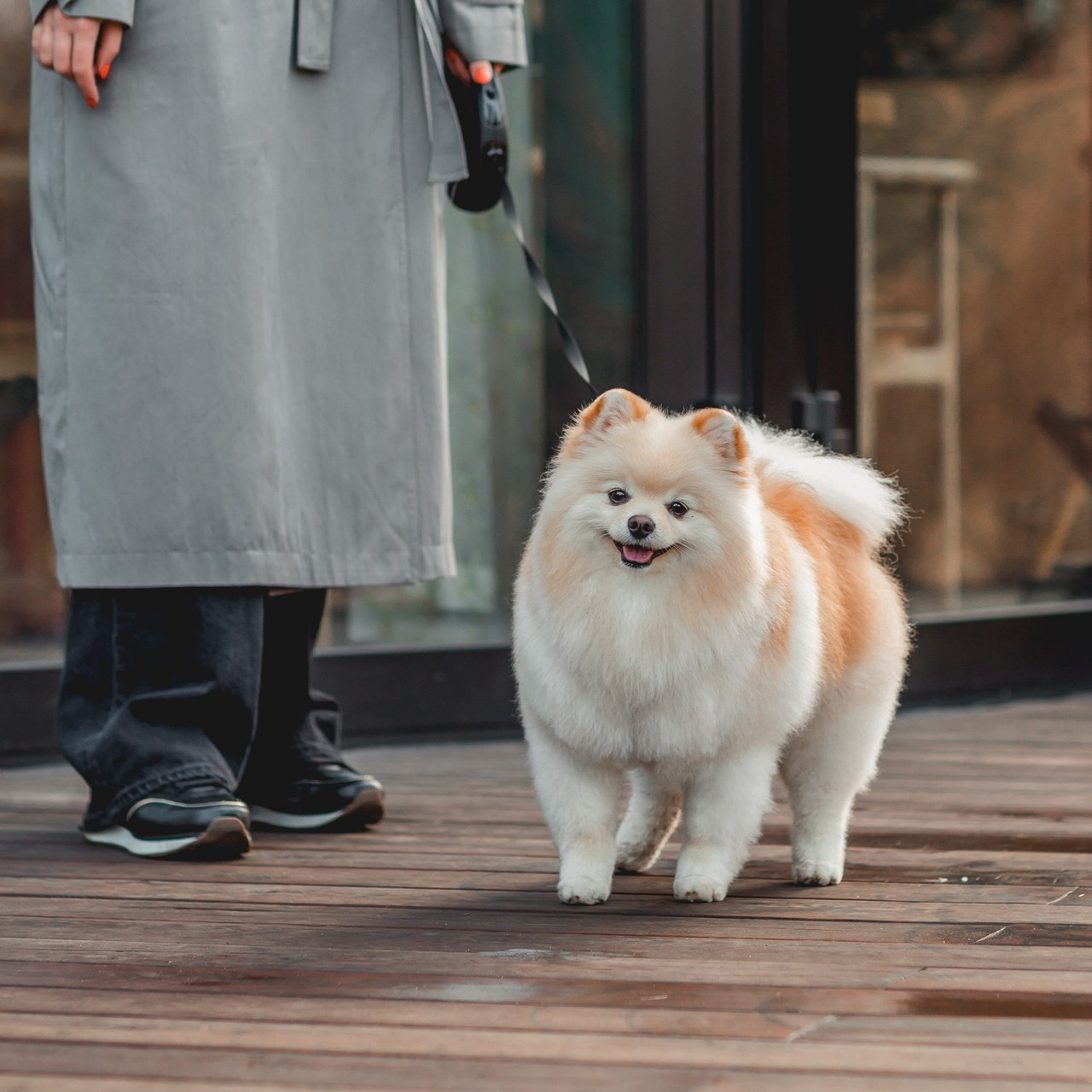 Отзывы. Семейный фотограф анималист Мария Крючкова