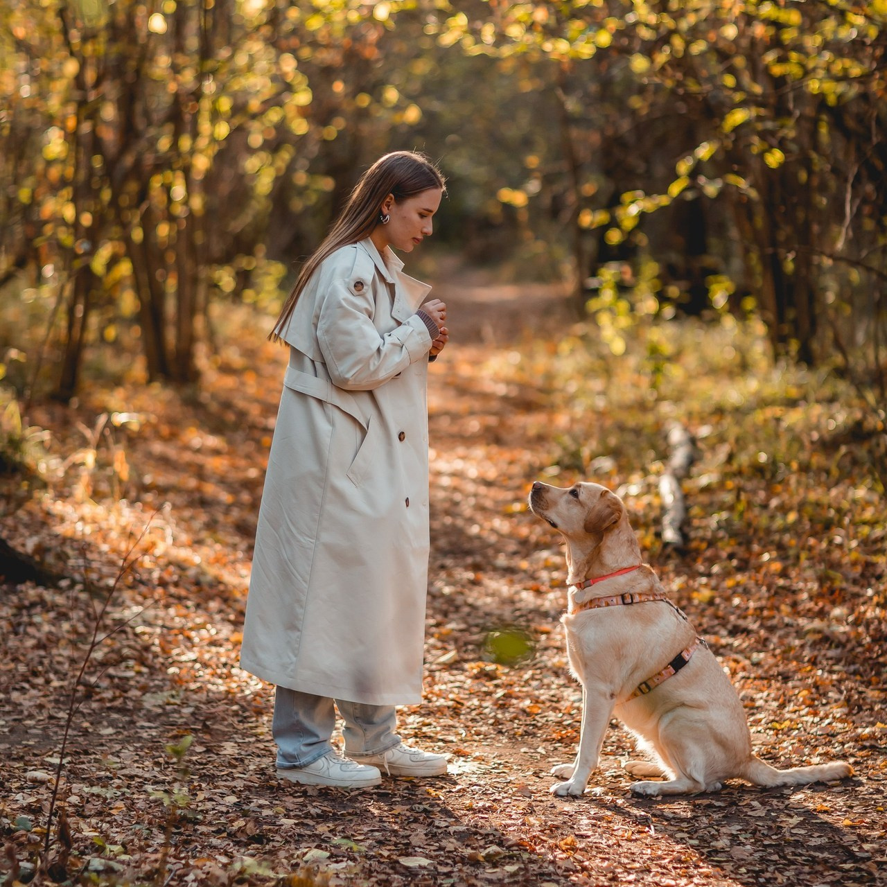 Отзывы. Семейный фотограф анималист Мария Крючкова