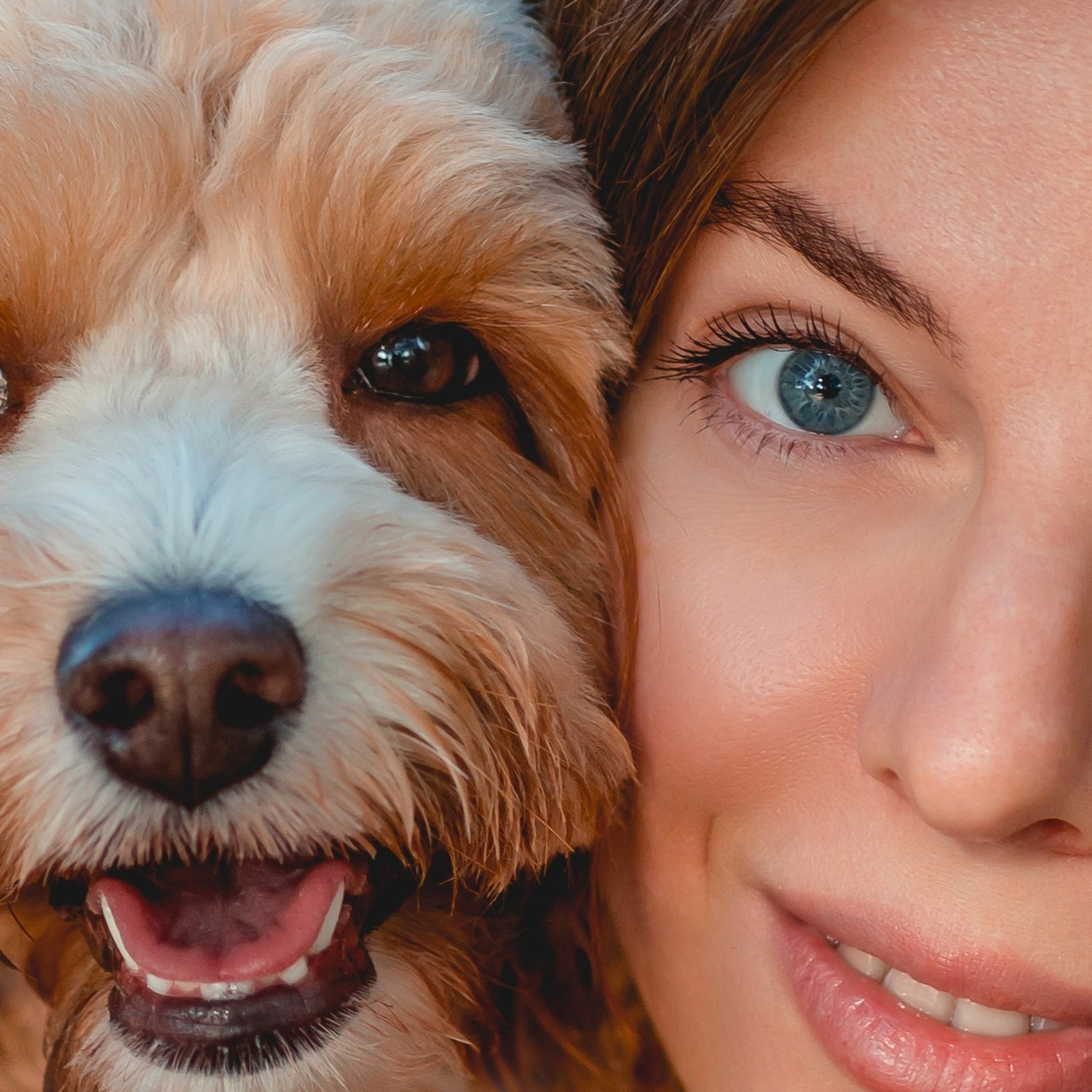 Отзывы. Семейный фотограф анималист Мария Крючкова