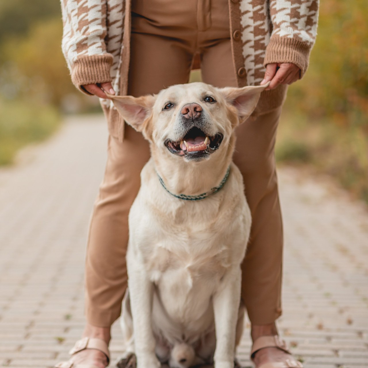 Отзывы. Семейный фотограф анималист Мария Крючкова