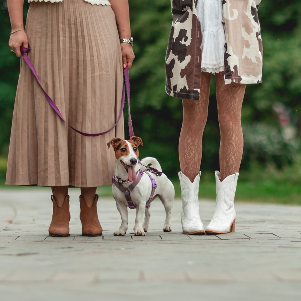 Отзывы. Семейный фотограф анималист Мария Крючкова