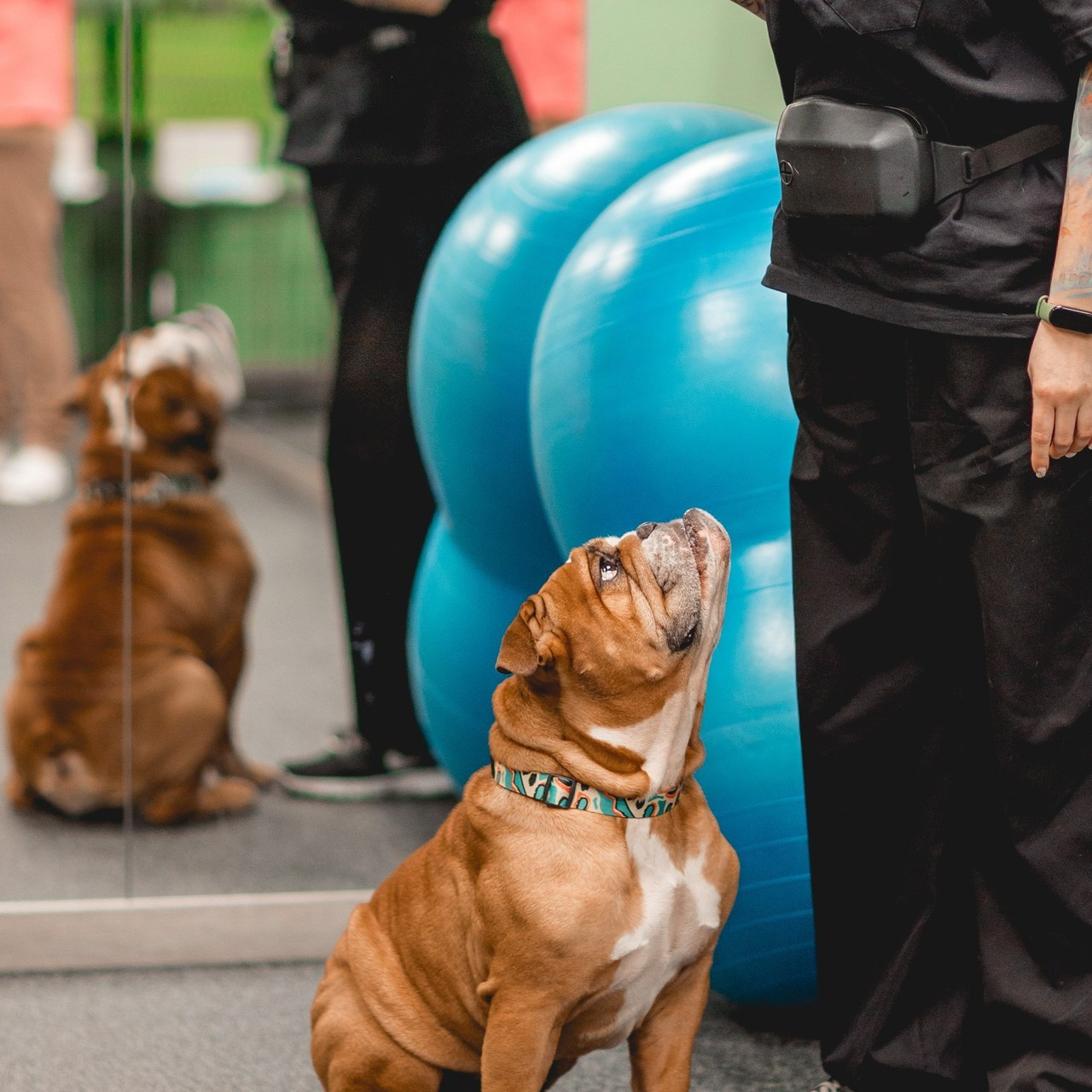 Отзывы. Семейный фотограф анималист Мария Крючкова