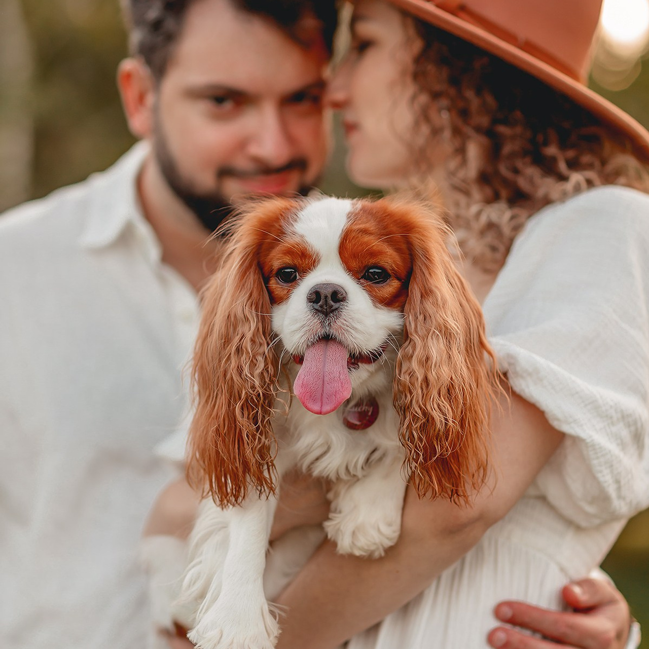 фотосессия с питомцем, фотосессия на закате, закат, фотосесия в парке, кавалер москва, собака, фотосессия с собакой, фотограф анималист, кавалер кинг чарльз спаниэль, семейная фотосесия