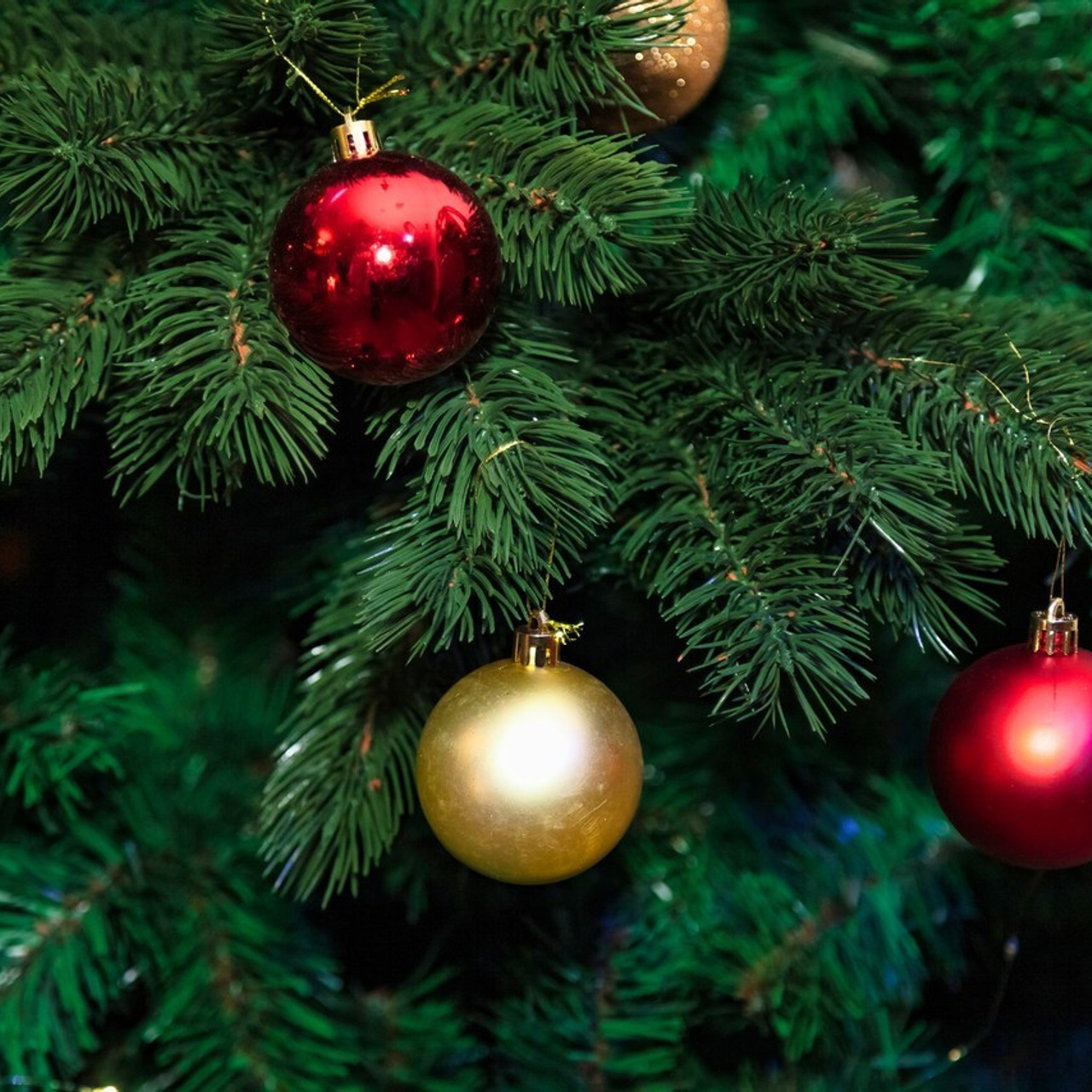 REVIEWS. AGarte: photo and video shooting in St. Petersburg and Moscow