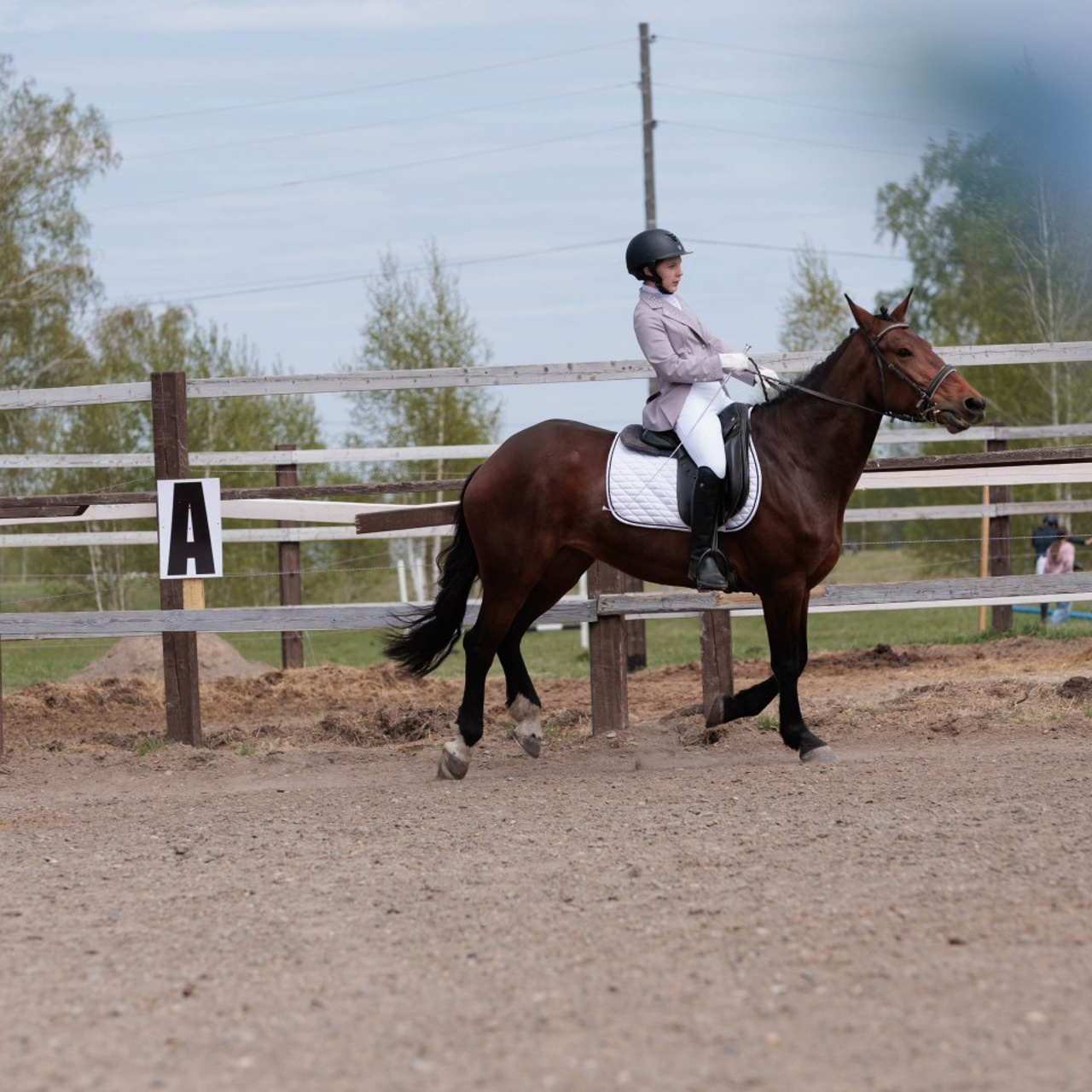 Отзывы. Конный фотограф в Красноярске — Любовь Похабова