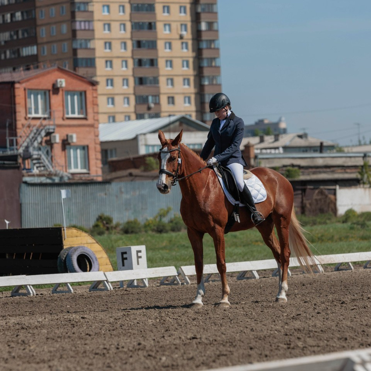 Отзывы. Конный фотограф в Красноярске — Любовь Похабова