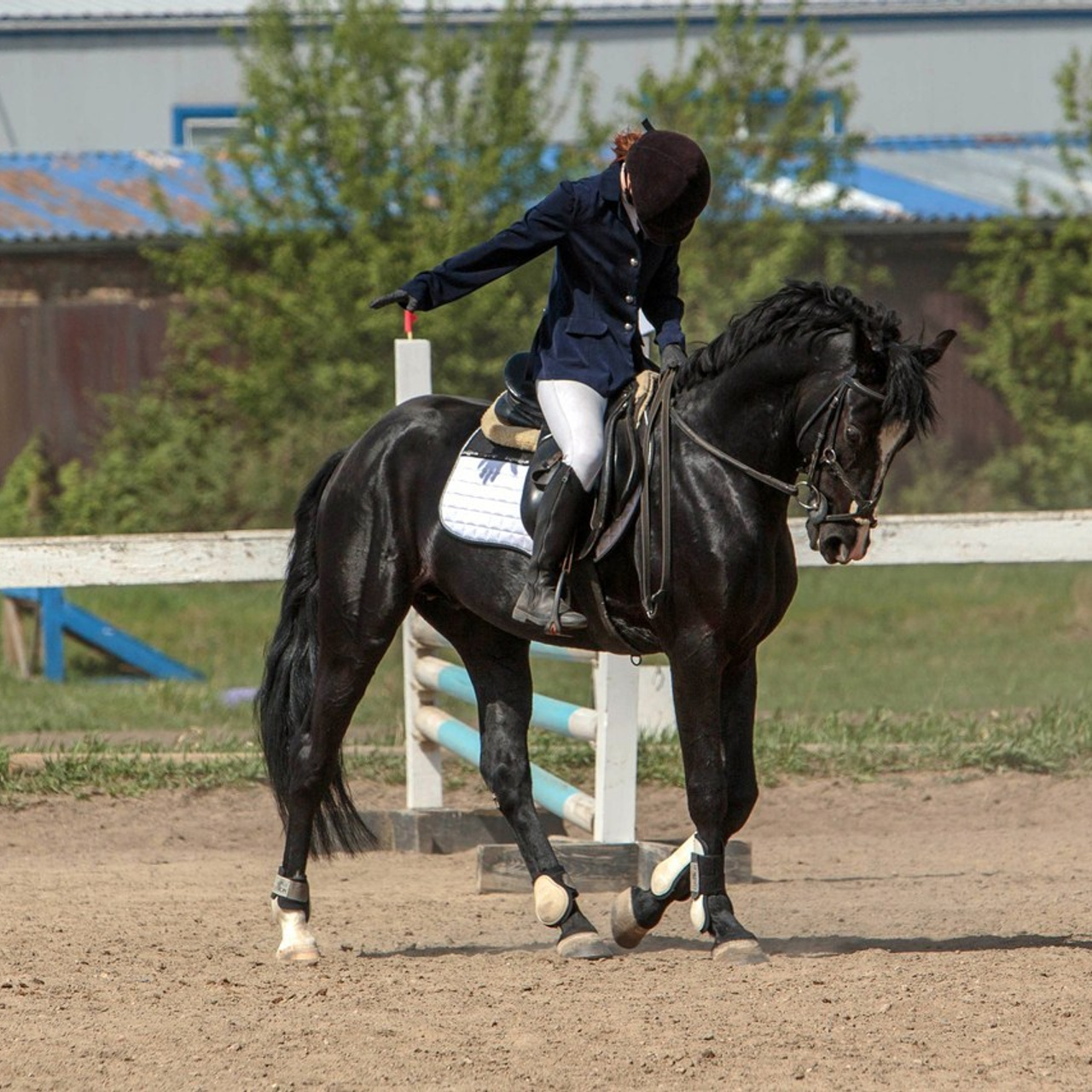 Отзывы. Конный фотограф в Красноярске — Любовь Похабова