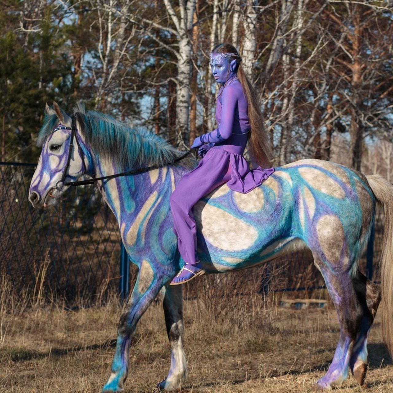 Отзывы. Конный фотограф в Красноярске — Любовь Похабова