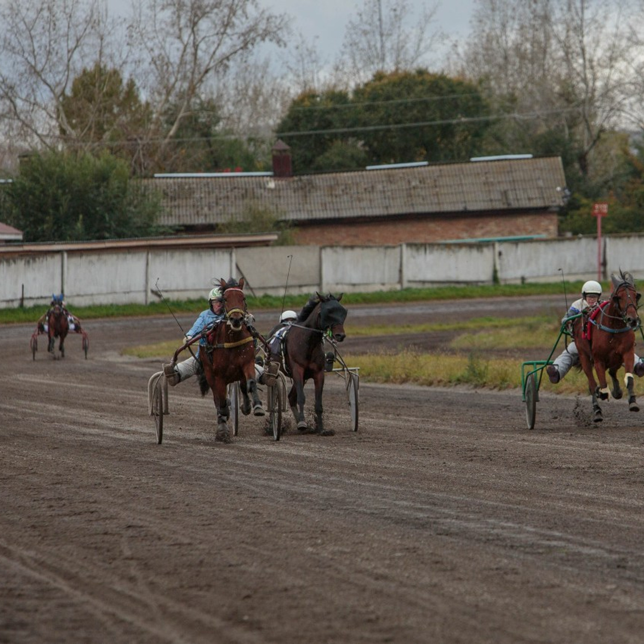Отзывы. Конный фотограф в Красноярске — Любовь Похабова