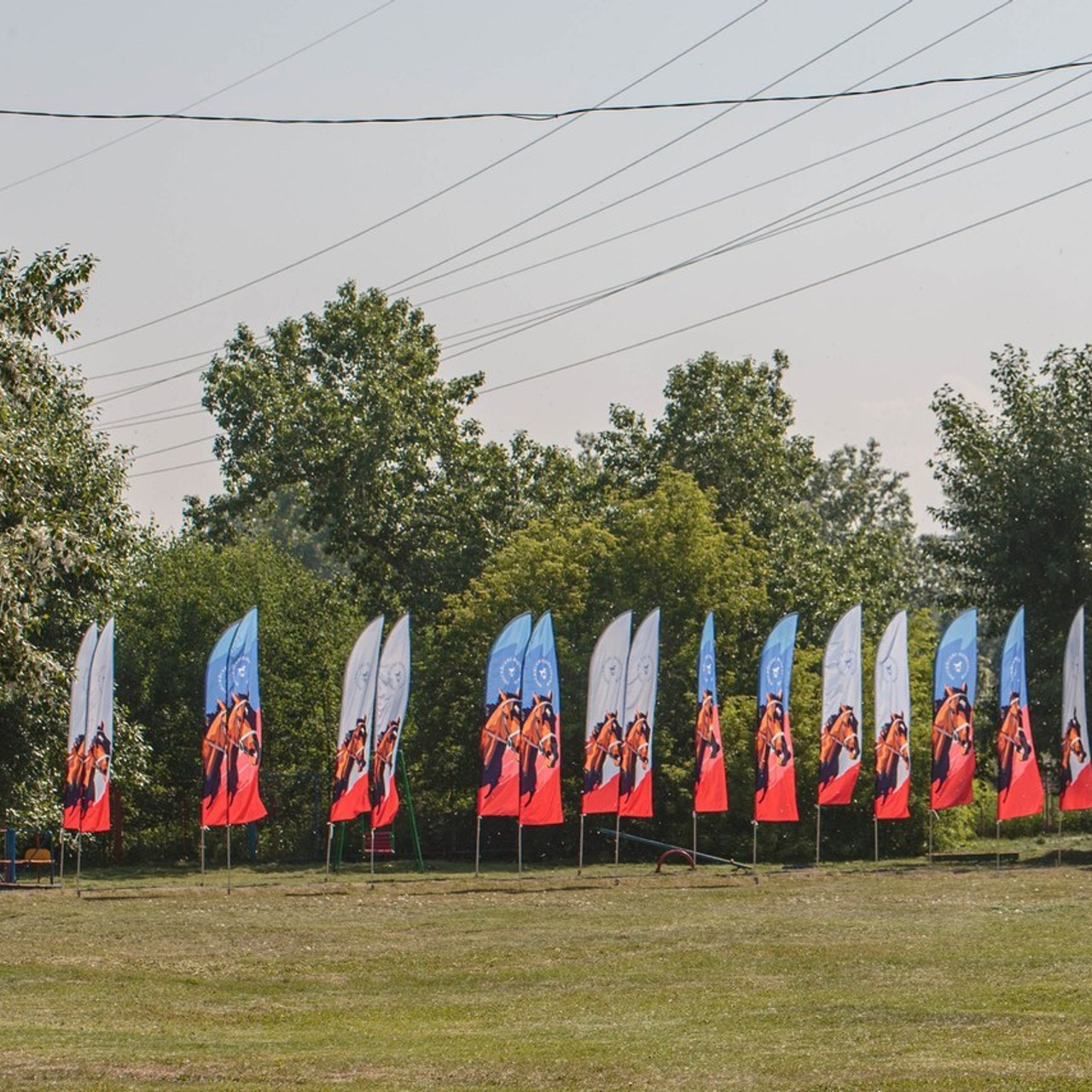 Отзывы. Конный фотограф в Красноярске — Любовь Похабова