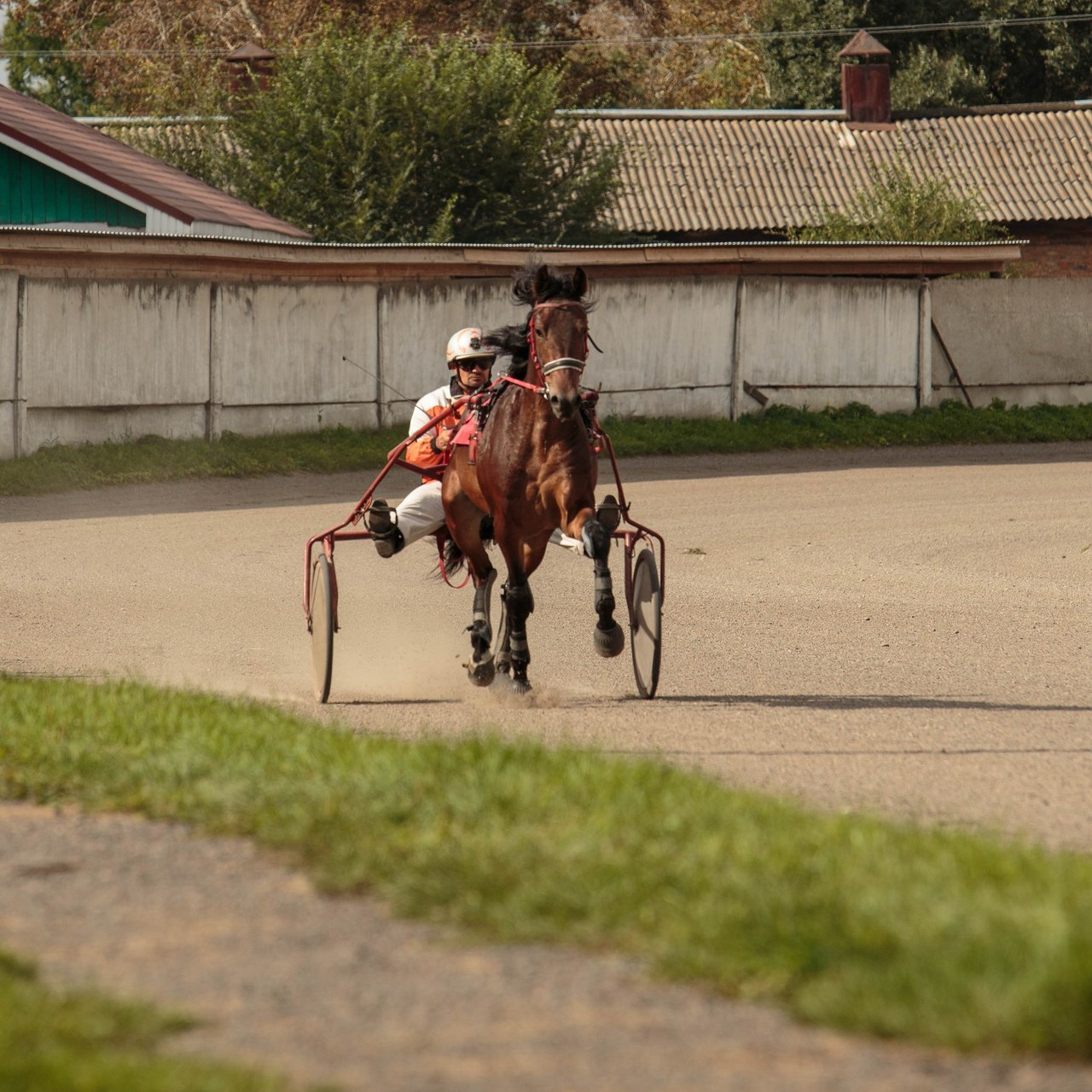 Отзывы. Конный фотограф в Красноярске — Любовь Похабова