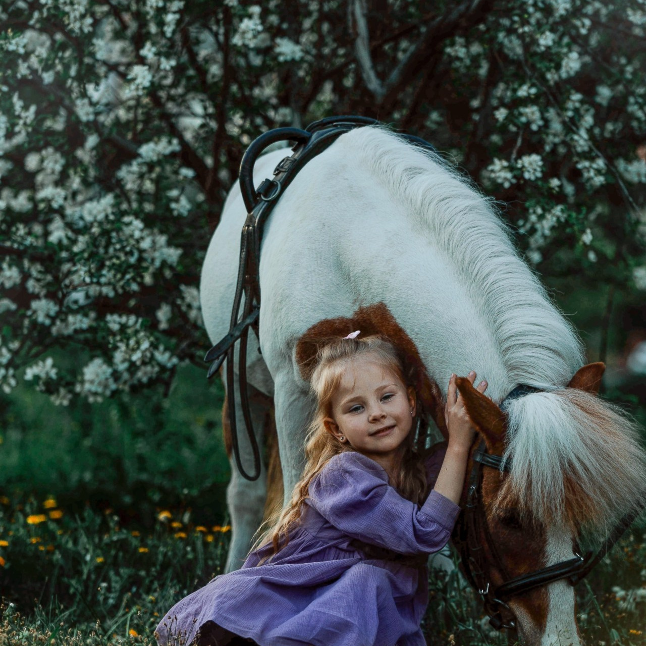 Отзывы. Конный фотограф в Красноярске — Любовь Похабова