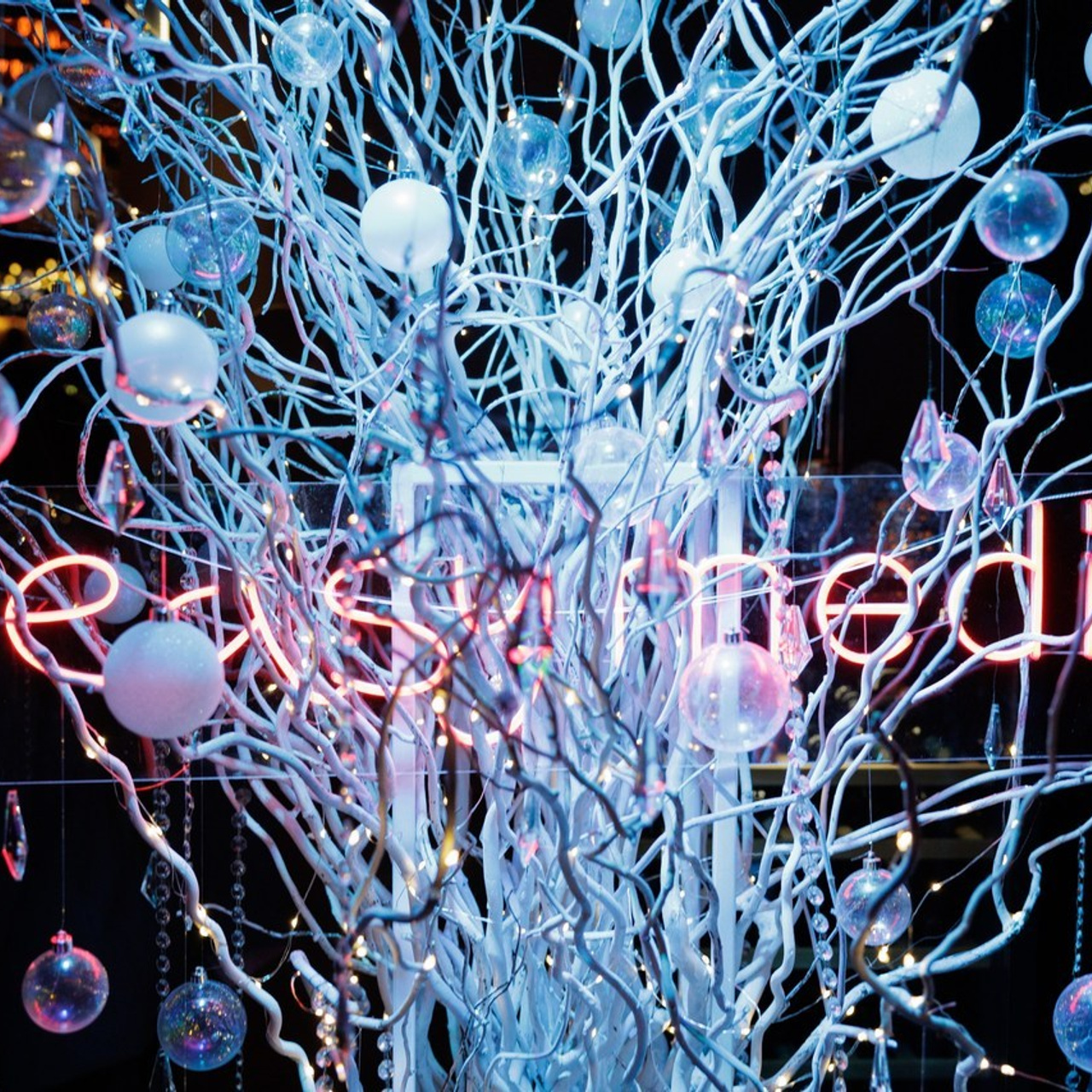 Отзывы. Светский фотограф — Анисина Ирина