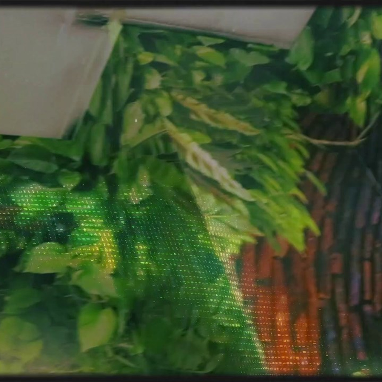 Отзывы. Свадебный и детский фотограф в Волгограде Слава Белов