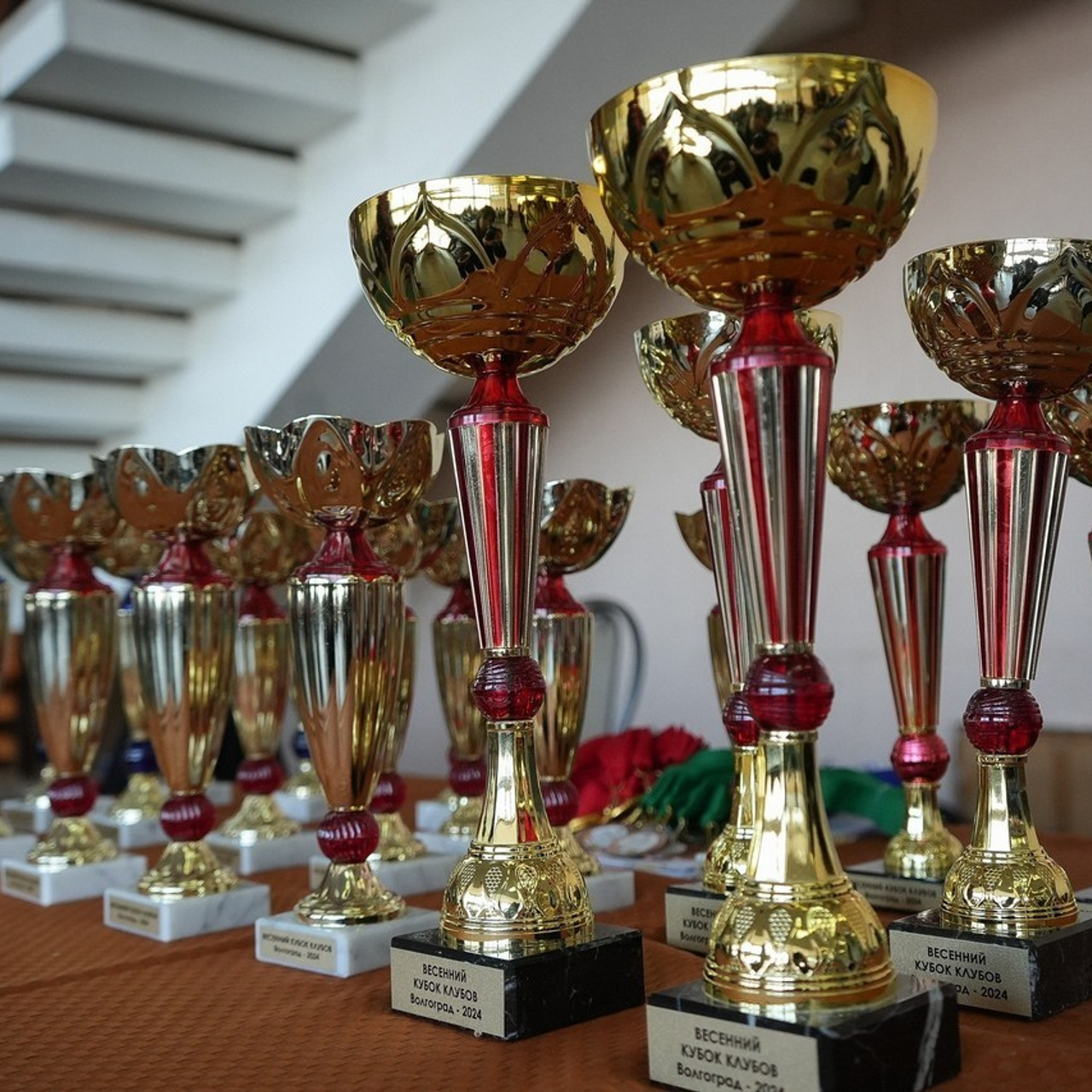 Отзывы. Фотограф Волгоград Анастасия Ли