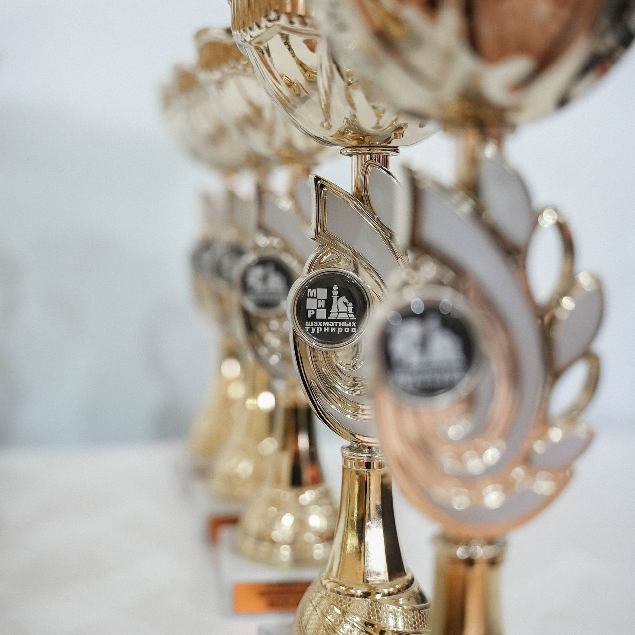 Отзывы. Фотограф Волгоград Анастасия Ли