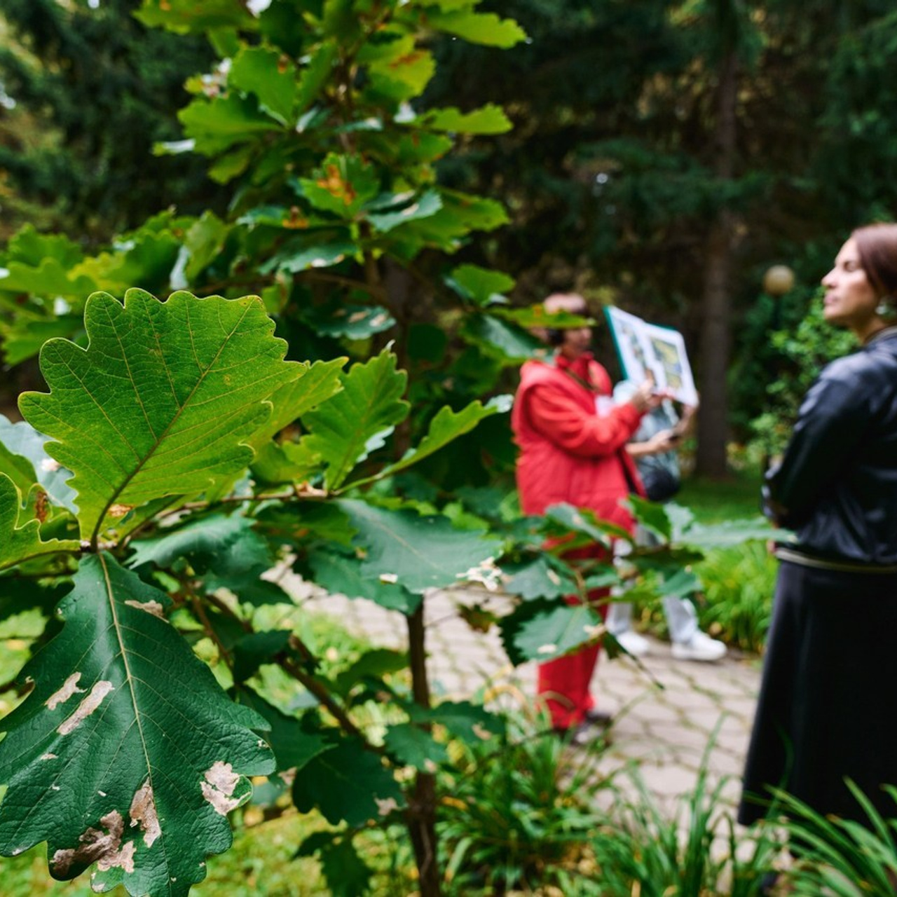 Фотограф Андрей Лукашевич