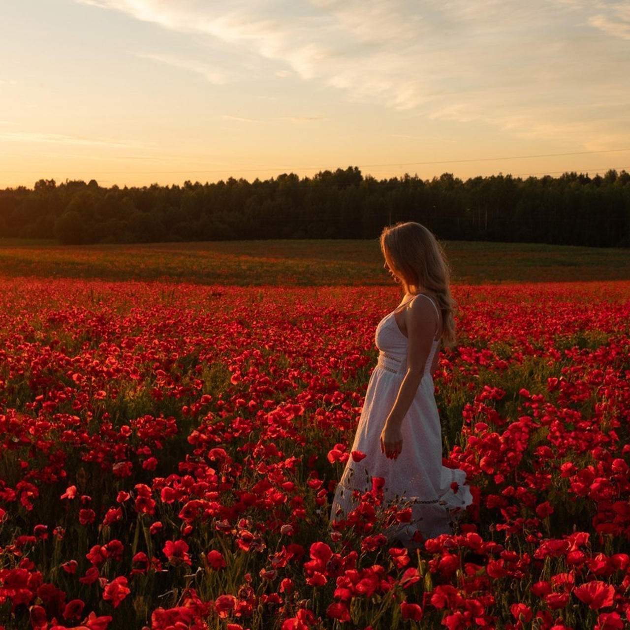 Отзывы. Фотограф Ирина Мищенко в В.Новгороде и Санкт-Петербурге