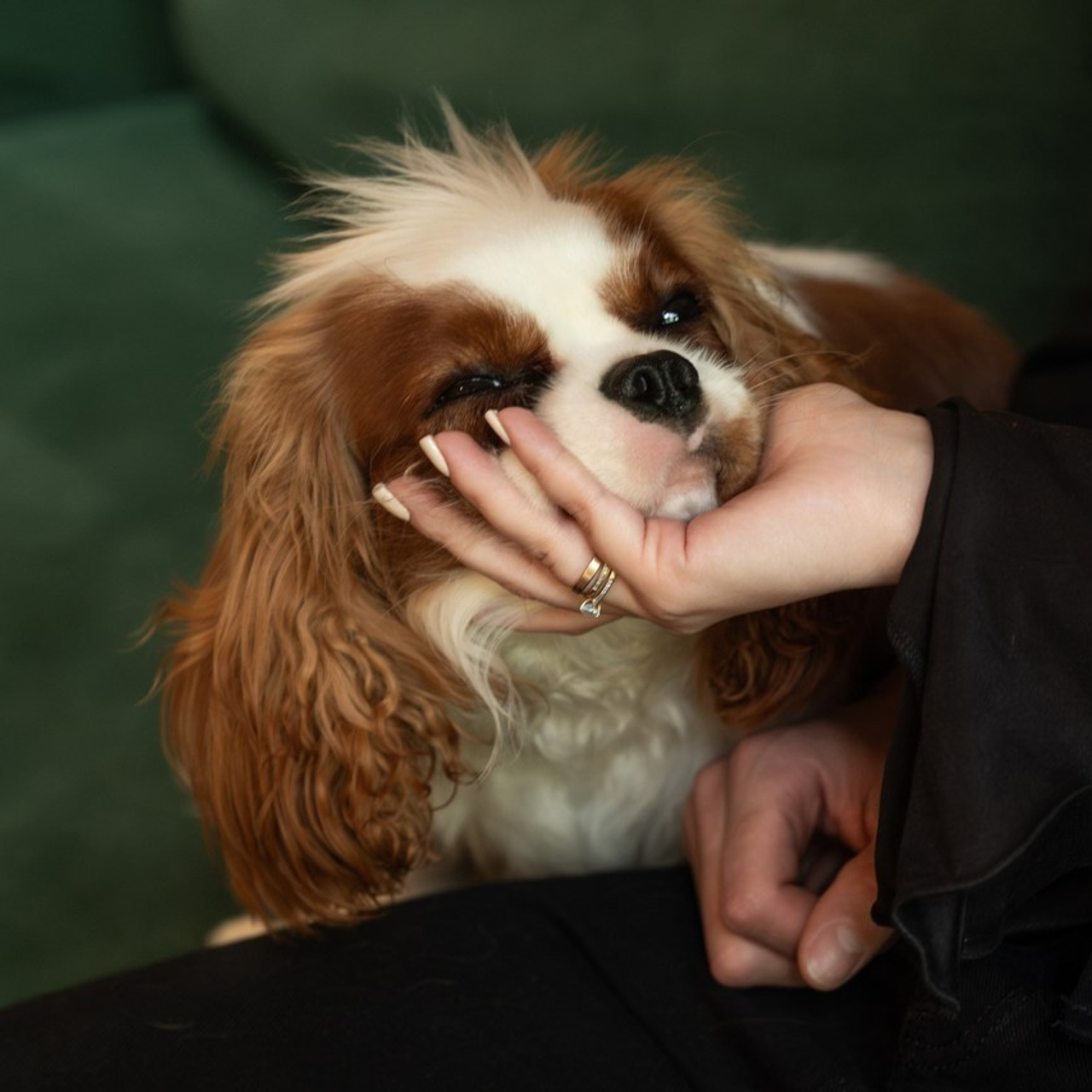 Отзывы. Фотограф Ирина Мищенко в В.Новгороде и Санкт-Петербурге