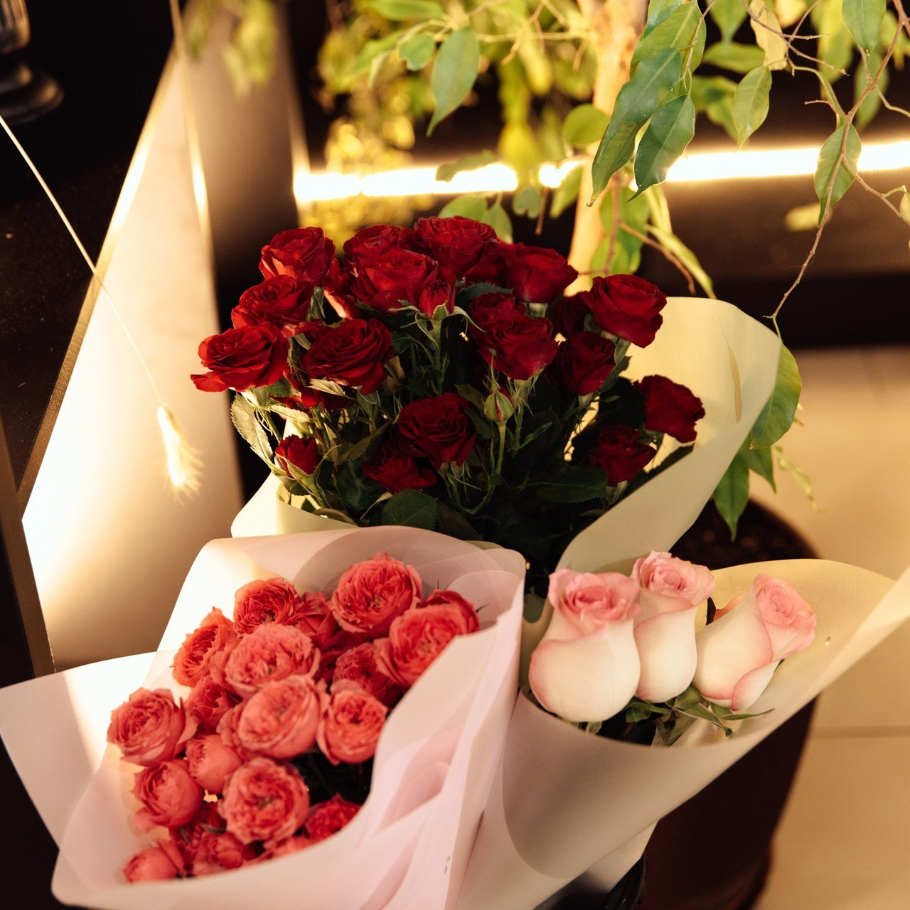 Отзывы. СВАДЕБНЫЙ ФОТОГРАФ И ВИДЕОГРАФ УЛЬЯНОВСК